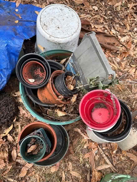 Photo of free Pots and trays (South Croydon CR2) #2