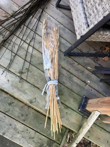 Photo of free Decorative twigs and wheat sheaths (Midtown Toronto) #2