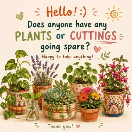 Photo of Plant cuttings, flowers, seeds (Barton-upon-Humber) #1
