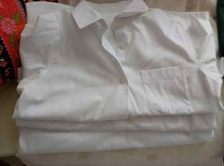 Photo of free 3 girls shirts (waterlooville) #1