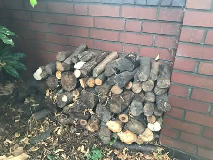 Photo of free Logs (Moseley B13) #1