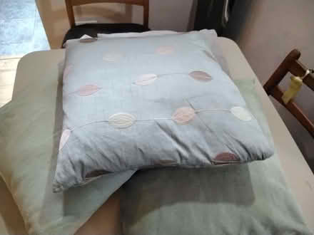 Photo of free Collection. cushions (Delapre NN4) #2