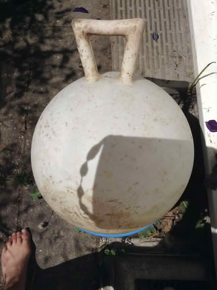 Photo of free Horse / pony hot weather items (Upper Bevendean BN2) #3