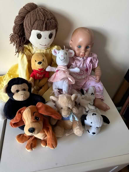 Photo of free dolls/soft toys (Maidstone ME17) #1