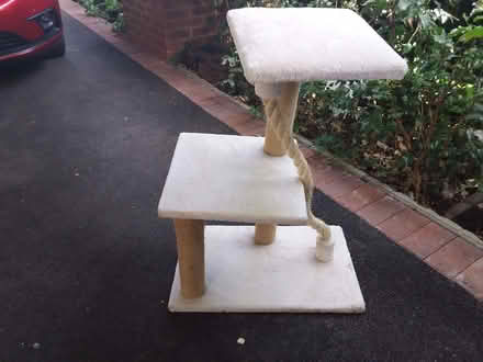 Photo of free Cat Scratching Post (Woodley RG5) #1