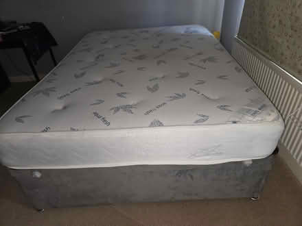 Photo of free to take double bed (B65) #4