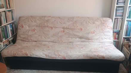 Photo of free sofa bed (Coleridge Ward CB1) #1