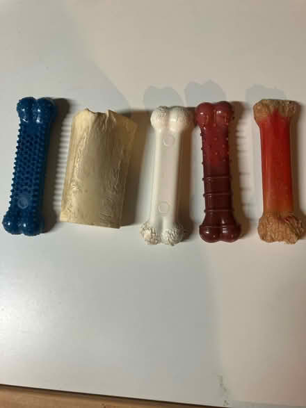 Photo of free Dog bones (Havertown) #1