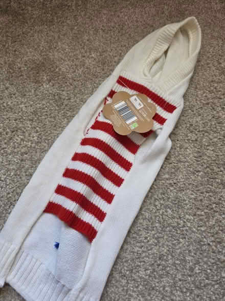 Photo of free Christmas dog jumper (Cleland ML1) #3
