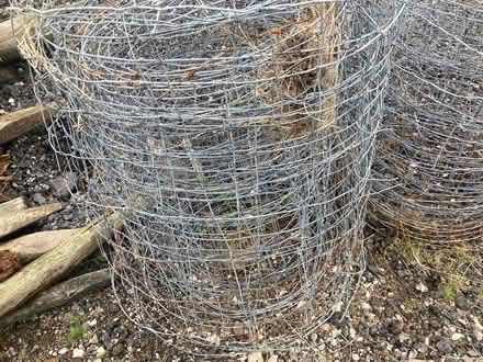 Photo of free Old sheep netting (Tebay CA10) #1