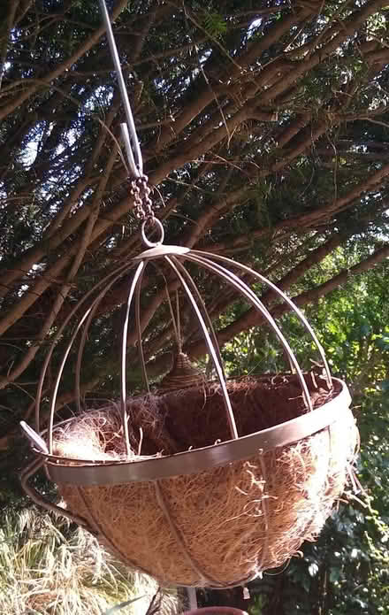 Photo of free 3 x Garden Hanging Baskets (Thorpe Bay, SS1) #2