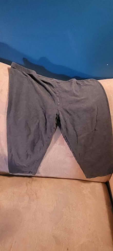 Photo of free XL Women's Pants (Arnold, MD) #3