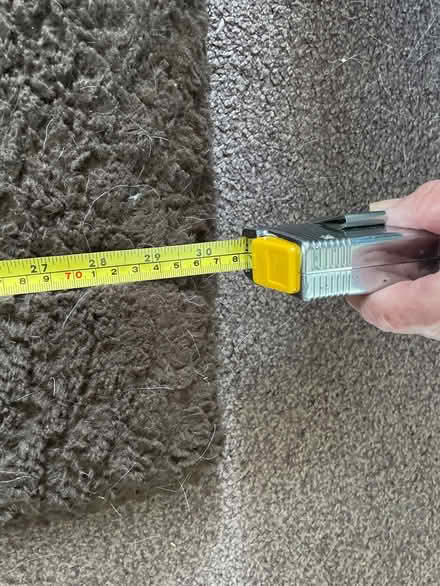 Photo of free Dog crate mat #2 (Chelmsford CM2) #3