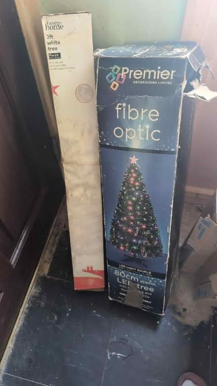 Photo of free Two Christmas Trees (Holmewood BD4) #1