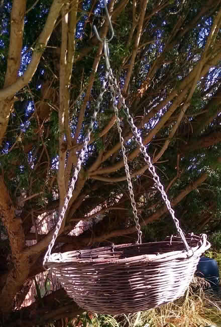 Photo of free 3 x Garden Hanging Baskets (Thorpe Bay, SS1) #3