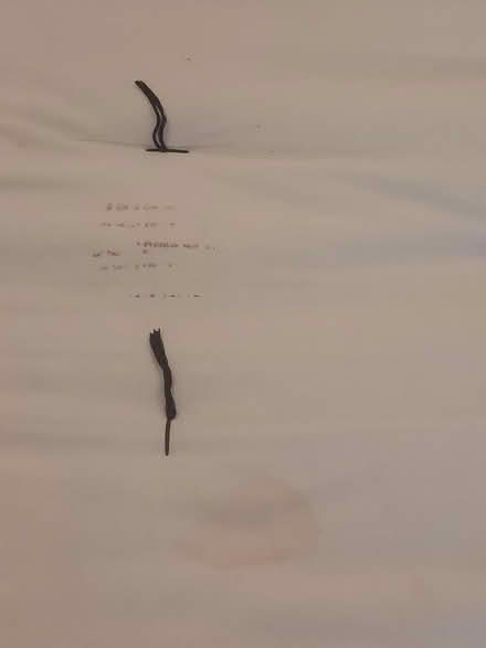 Photo of free futon (greenwich se10) #3