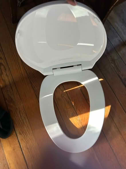 Photo of free Toilet seat (oval) (Alameda West End) #2
