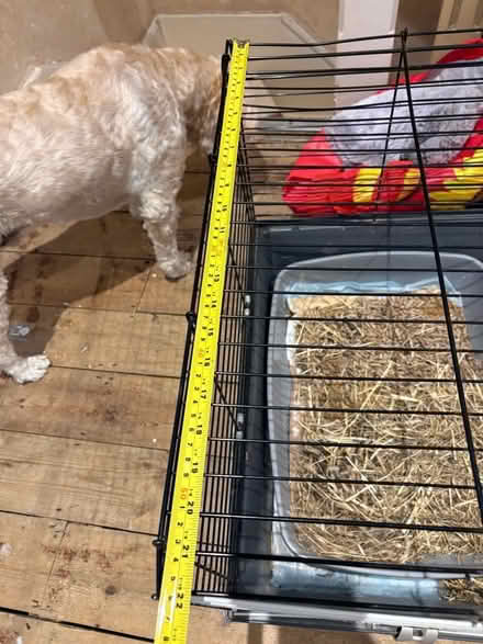 Photo of free Large guinea pig / rabbit cage (Addiscombe CR0) #4