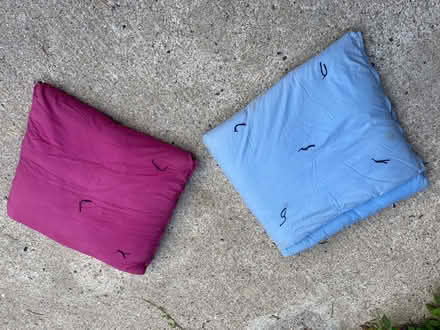 Photo of free 2 x single futons (Penzance TR20) #1
