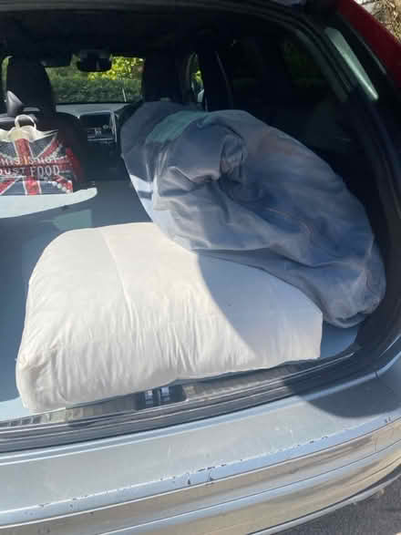 Photo of free 2 feather filled sofa cushions (Oldfield Park, Bath BA2) #1
