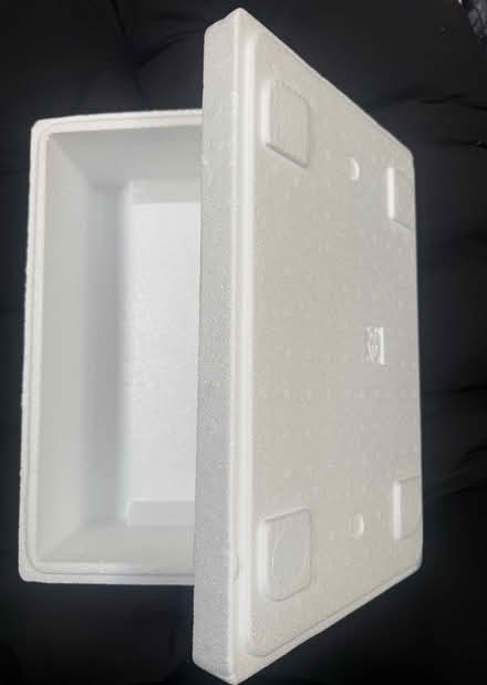 Photo of free Insulated food box - medium (Beaconsfield HP9) #2