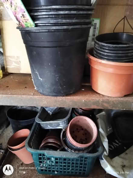 Photo of free Flower pots (MK19) #2