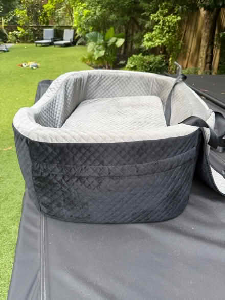 Photo of free Dog Car Seat (Larkspur ca) #2