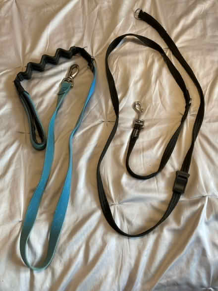 Photo of free Dog leads/ collars (Swindon SN5) #3
