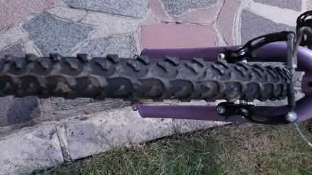 Photo of free Girls/ladies mountain bike (Hayes BR2) #1