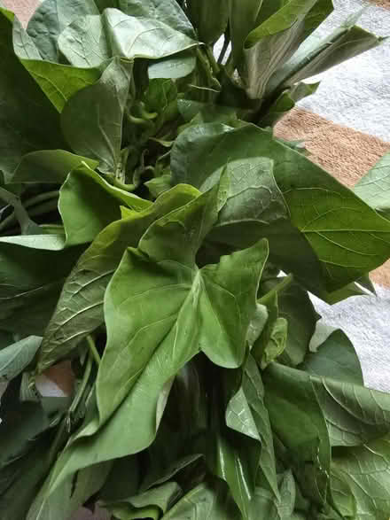 Photo of free 1 Bunch of Sweet Potato Greens (West 7th) #3