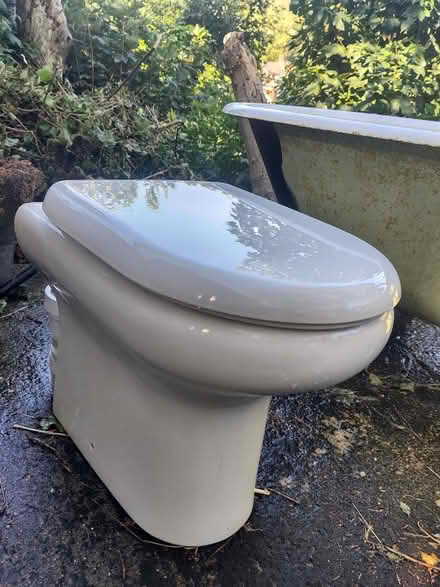 Photo of free Toilet (Fiveways, Brighton BN1) #1
