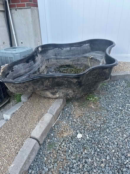 Photo of free Fish pond (Wakefield) #1