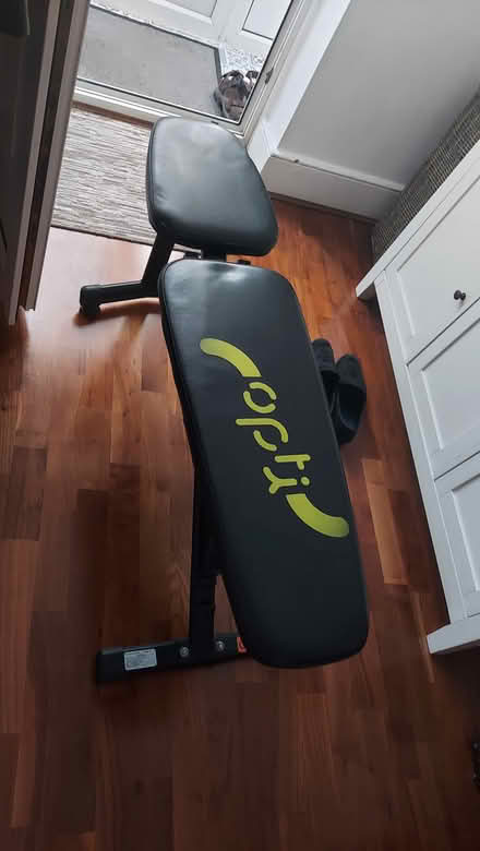 Photo of free Weights bench (Southfields SW18) #1