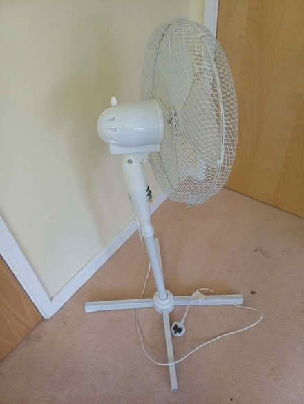 Photo of free Free-standing Electric Fan (Charlton OX12) #2