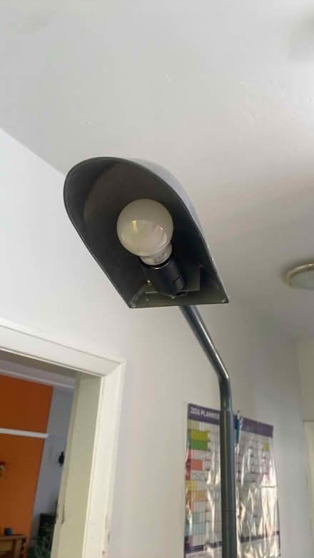 Photo of free Standard lamp (Wisewood S6) #1
