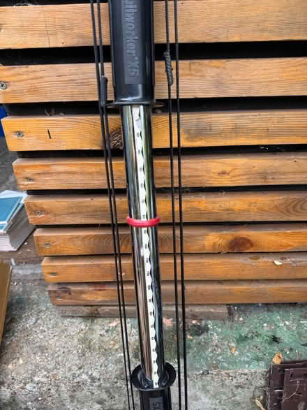 Photo of free Bull worker (BR1) #1