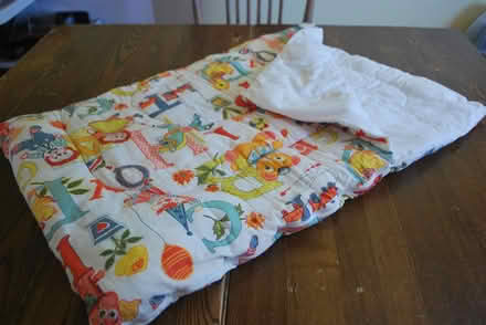 Photo of free Baby Bunting Bag, 30x20in (gatineau ave & de bourgogne st) #1