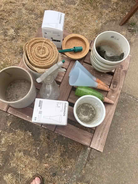 Photo of free Gardening bits and pieces (Tottenham N15) #2