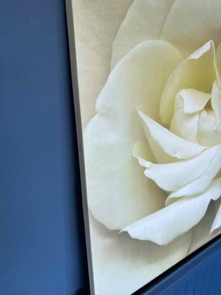Photo of free Ikea picture (Widcombe BA2) #2