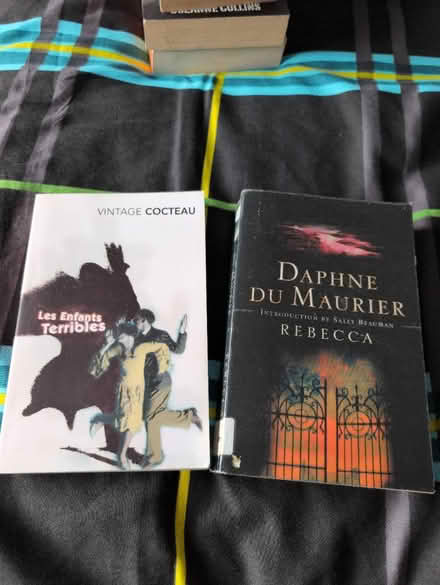 Photo of free Book bundle (Swinton M27) #4