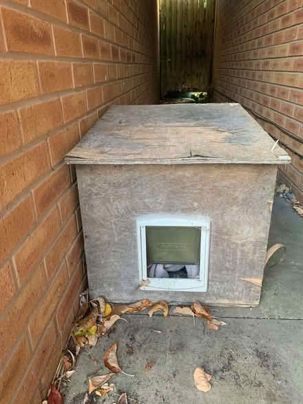 Photo of free Cat house (Edgbaston B5) #1