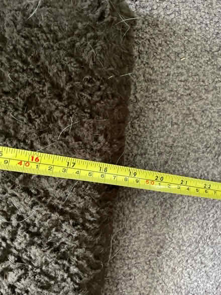 Photo of free Dog crate mat #2 (Chelmsford CM2) #4