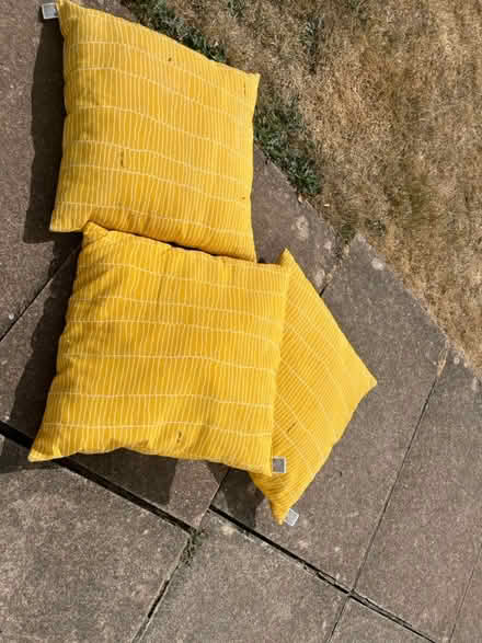 Photo of free 3 outdoor cushions (Nr. Sidmouth) #1