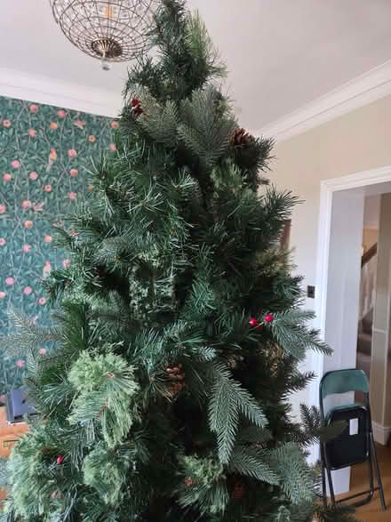 Photo of free 6ft Artificial Christmas Tree (Sunningdale SL5) #4