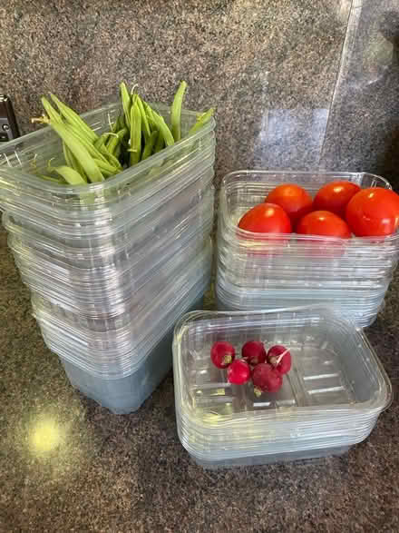 Photo of free Clear plastic fruit punnets for your fruit and veg harvest (Abbotswood GL3) #1
