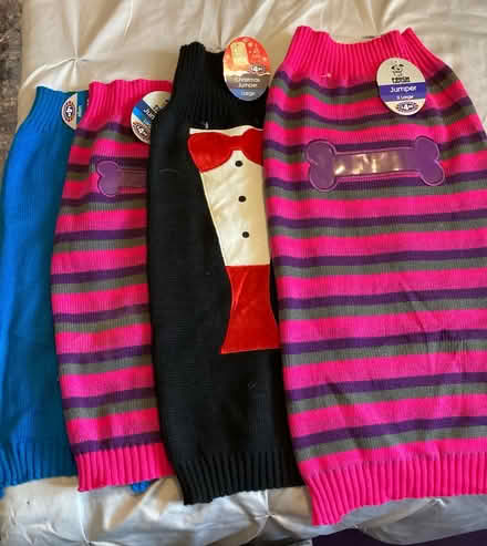Photo of free Dog coats (Swindon SN5) #1