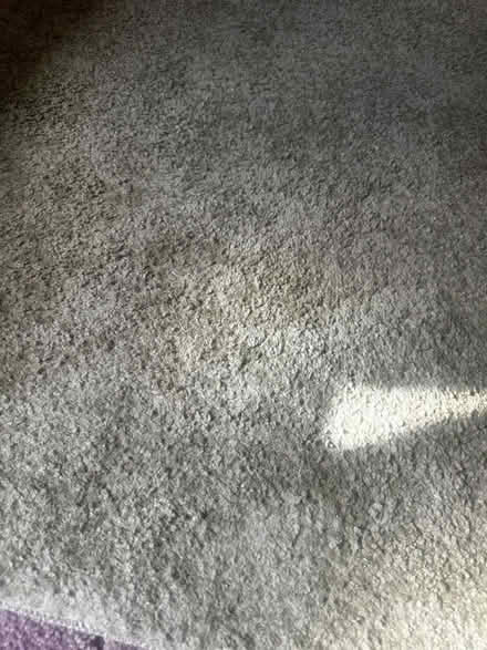 Photo of free Rug, light geeen (Milton OX14) #2