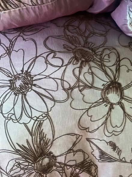 Photo of free 2 blue/ green cushions (Forest green) #2
