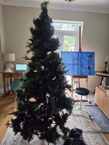 Photo of free 6ft Artificial Christmas Tree (Sunningdale SL5) #3