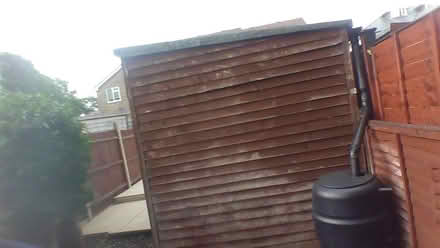Photo of free Shed (Woolston SO19) #4